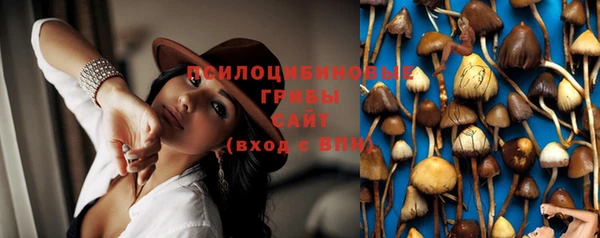 PSILOCYBIN Баксан