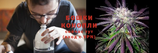 PSILOCYBIN Баксан