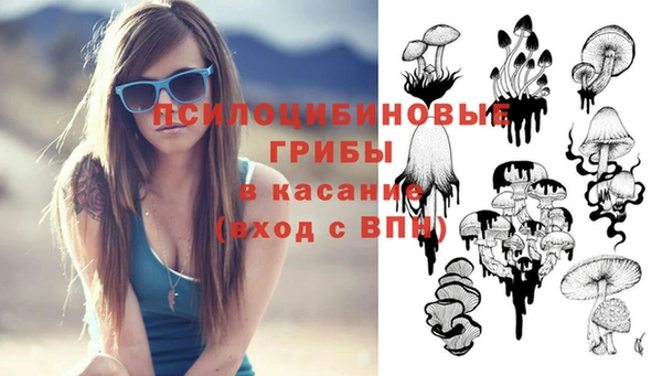 PSILOCYBIN Баксан